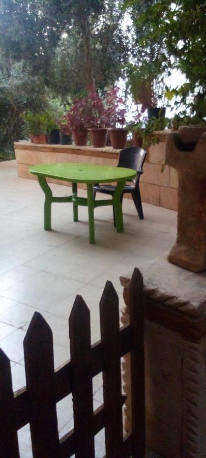 Flower Jarash Exterior photo