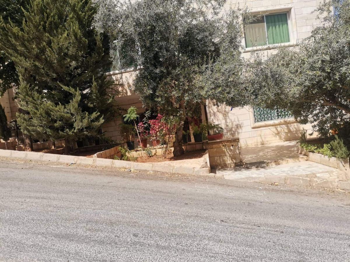 Flower Jarash Exterior photo