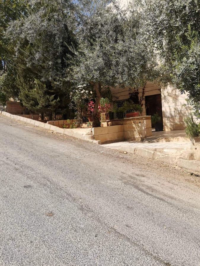 Flower Jarash Exterior photo
