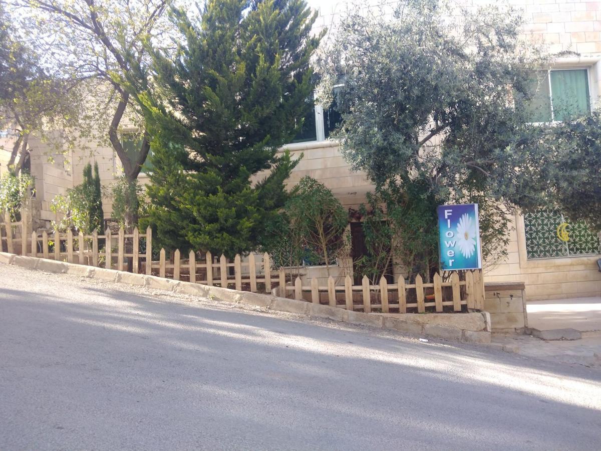 Flower Jarash Exterior photo