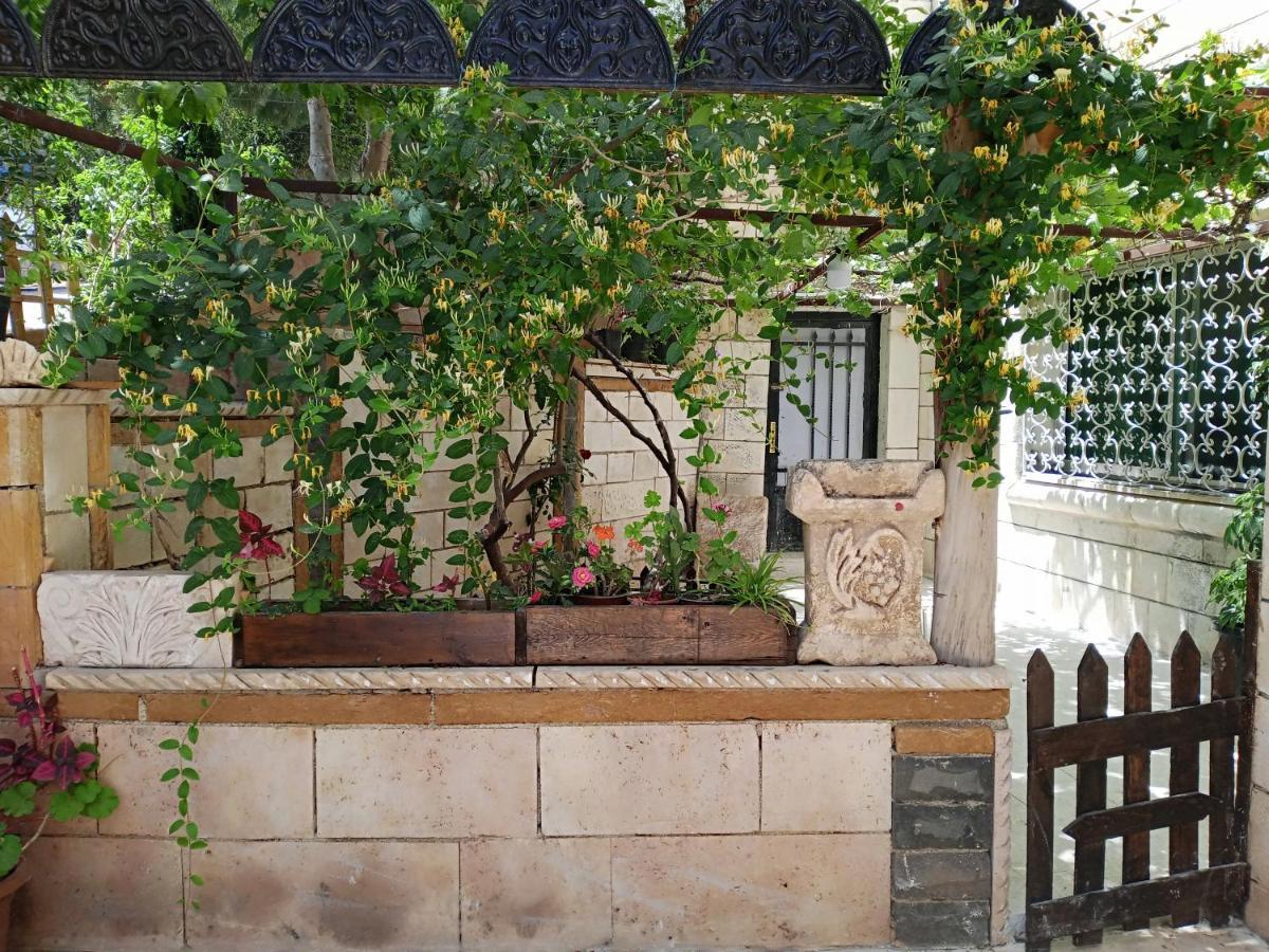 Flower Jarash Exterior photo